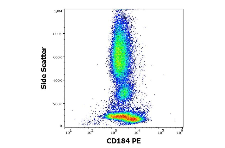 Flow Cytometry - Anti-CXCR4 Antibody [12G5] (PE) (A86616)