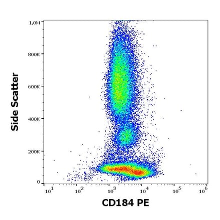 Flow Cytometry - Anti-CXCR4 Antibody [12G5] (PE) (A86616)
