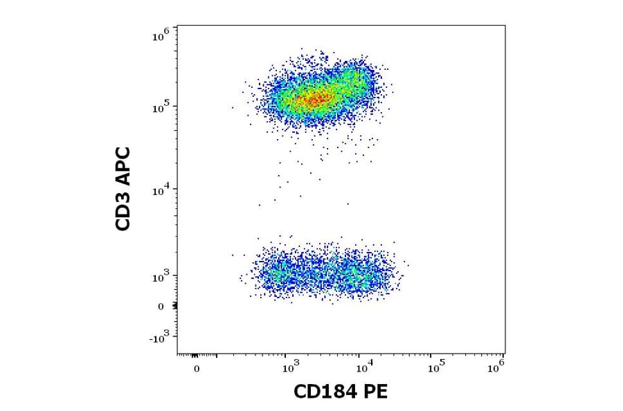 Flow Cytometry - Anti-CXCR4 Antibody [12G5] (PE) (A86616)