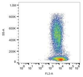 Flow Cytometry - Anti-CXCR4 Antibody [12G5] (PE) (A86612) - Antibodies.com