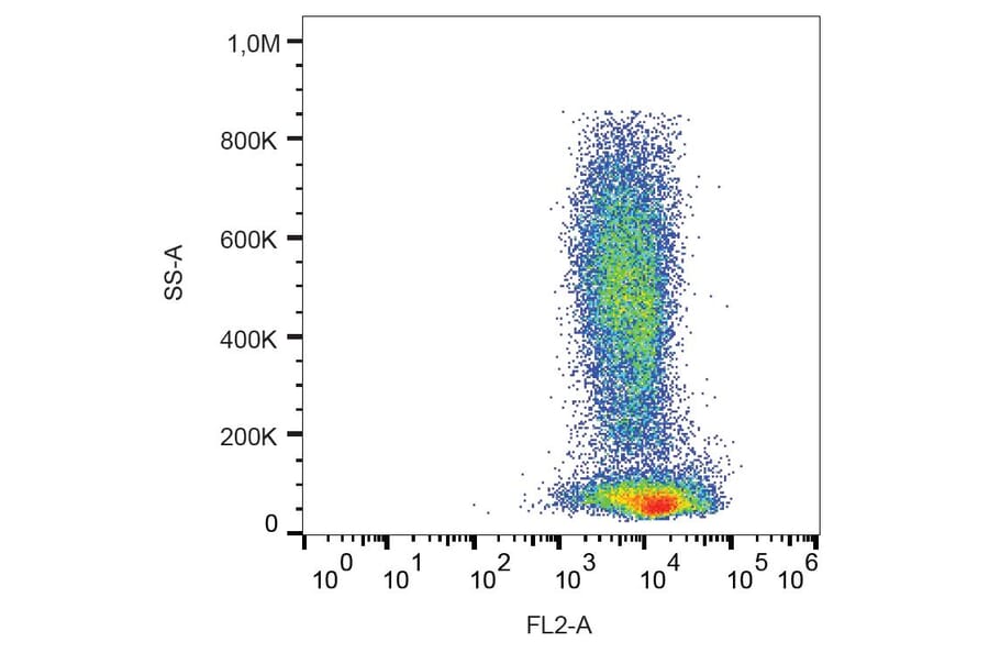 Flow Cytometry - Anti-CXCR4 Antibody [12G5] (PE) (A86612) - Antibodies.com