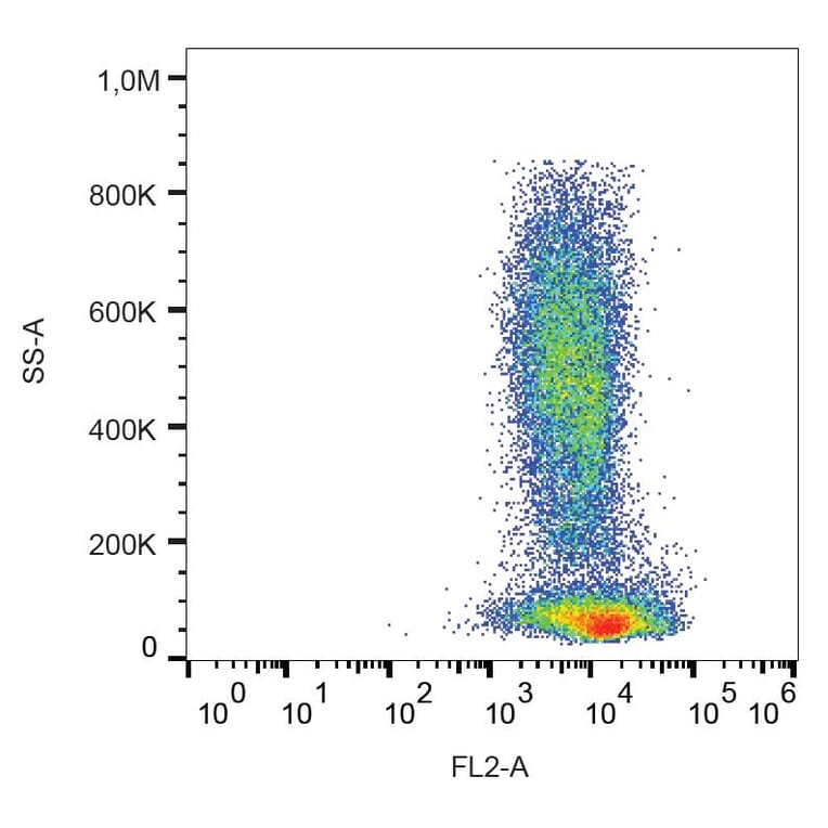 Flow Cytometry - Anti-CXCR4 Antibody [12G5] (PE) (A86612) - Antibodies.com