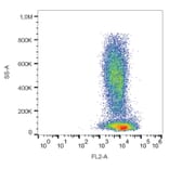 Flow Cytometry - Anti-CXCR4 Antibody [12G5] (PE) (A86612) - Antibodies.com