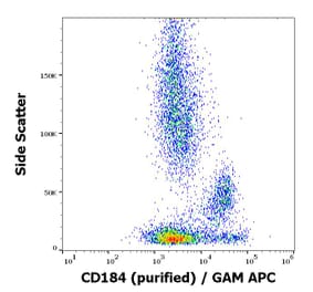 Flow Cytometry - Anti-CXCR4 Antibody [12G5] (A86617)