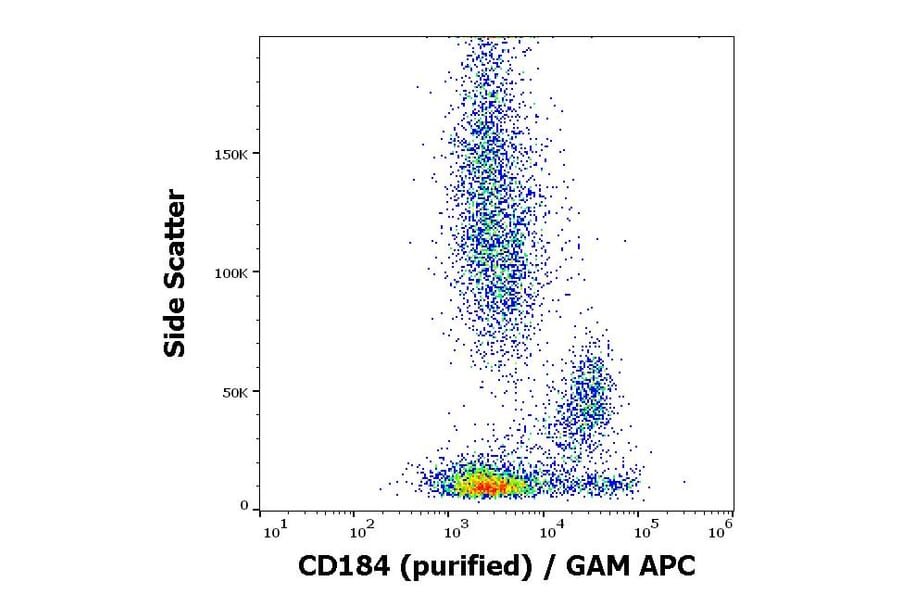 Flow Cytometry - Anti-CXCR4 Antibody [12G5] (A86617)