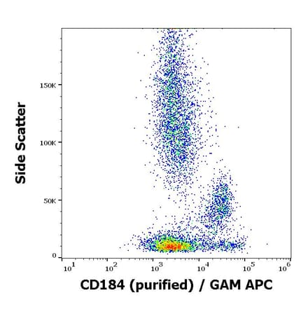 Flow Cytometry - Anti-CXCR4 Antibody [12G5] (A86617)