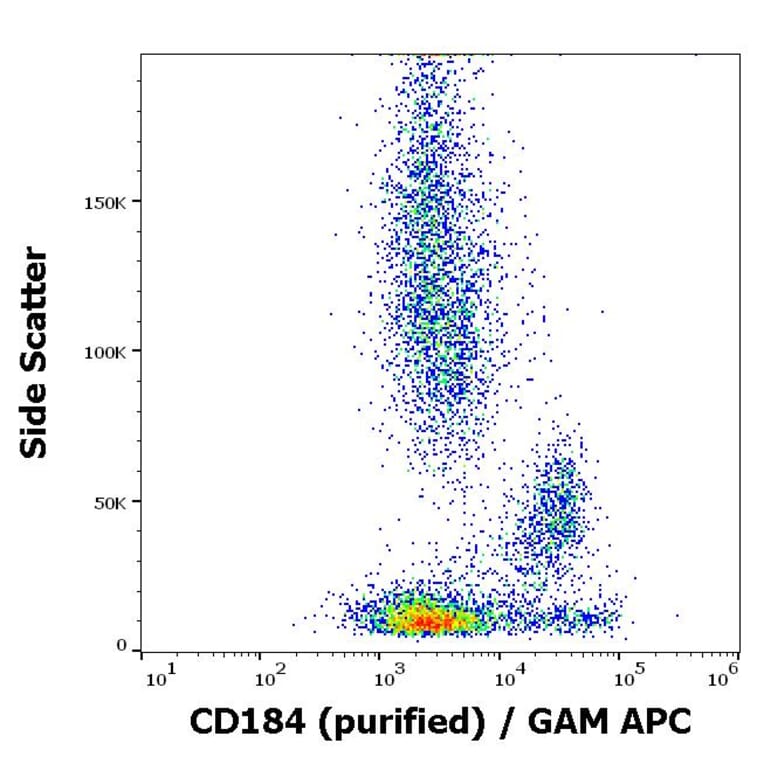 Flow Cytometry - Anti-CXCR4 Antibody [12G5] (A86617)