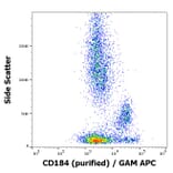 Flow Cytometry - Anti-CXCR4 Antibody [12G5] (A86617)