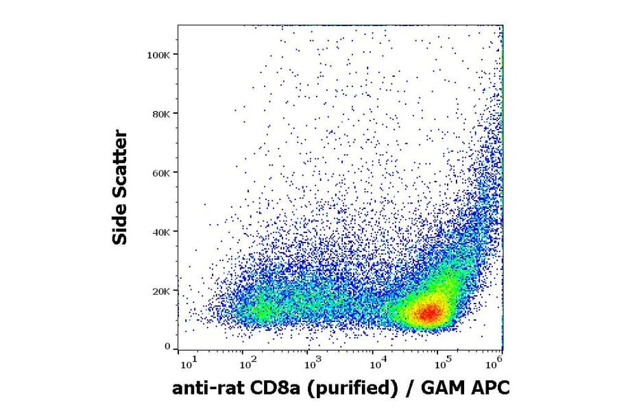 Flow Cytometry - Anti-CD8 alpha Antibody [OX-8] (A86620)