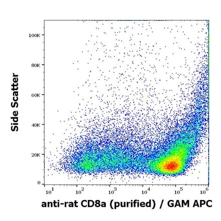 Flow Cytometry - Anti-CD8 alpha Antibody [OX-8] (A86620)