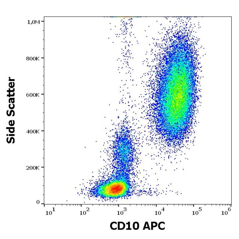 Flow Cytometry - Anti-CD10 Antibody [MEM-78] (APC) (A86622)