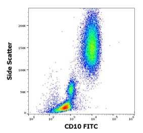 Flow Cytometry - Anti-CD10 Antibody [MEM-78] (FITC) (A86623)