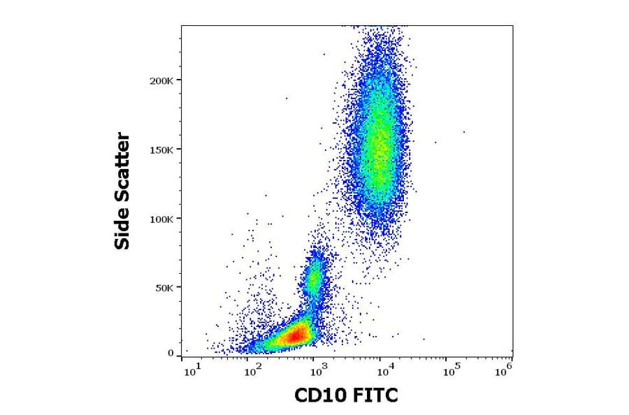Flow Cytometry - Anti-CD10 Antibody [MEM-78] (FITC) (A86623)
