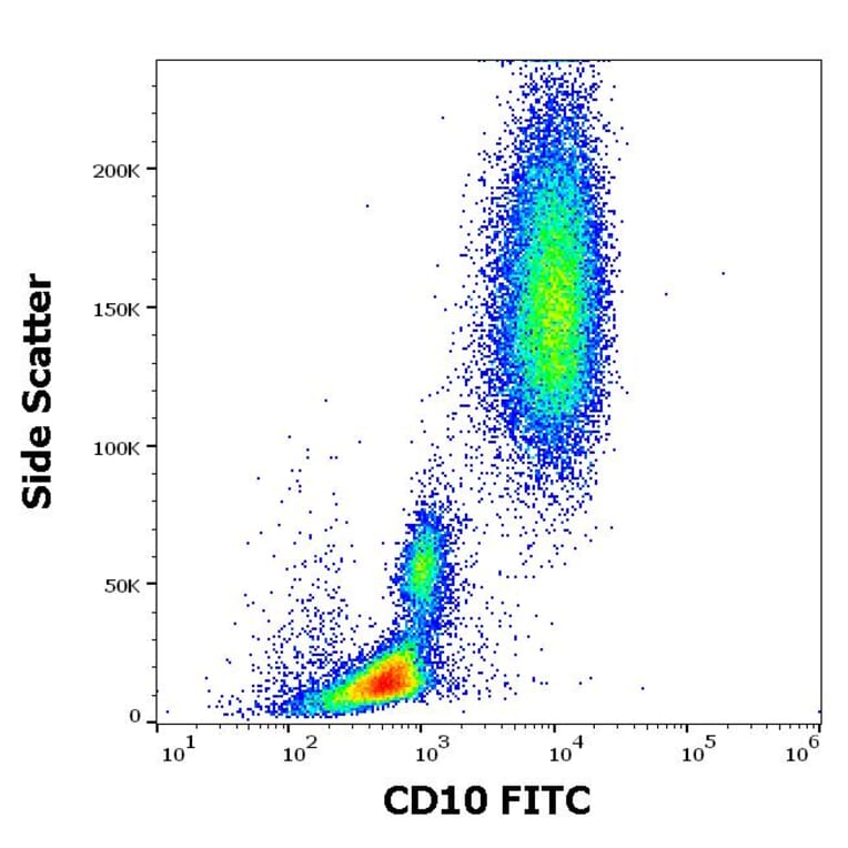 Flow Cytometry - Anti-CD10 Antibody [MEM-78] (FITC) (A86623)