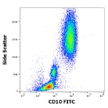 Flow Cytometry - Anti-CD10 Antibody [MEM-78] (FITC) (A86623)