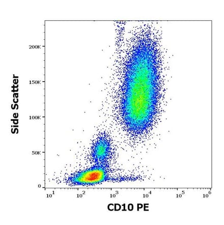 Flow Cytometry - Anti-CD10 Antibody [MEM-78] (PE) (A86566) - Antibodies.com
