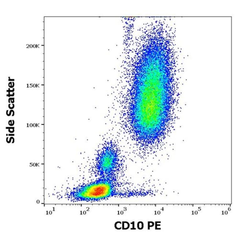 Flow Cytometry - Anti-CD10 Antibody [MEM-78] (PE) (A86566) - Antibodies.com