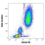 Flow Cytometry - Anti-CD10 Antibody [MEM-78] (PE) (A86566) - Antibodies.com