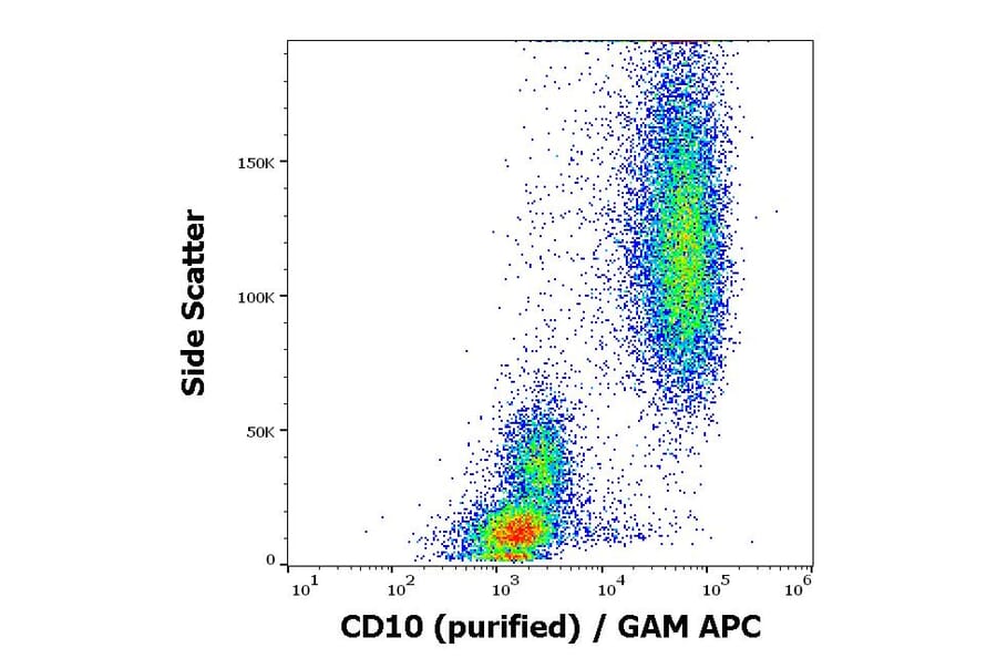 Flow Cytometry - Anti-CD10 Antibody [MEM-78] (A86627)