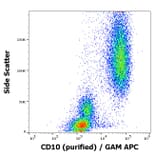 Flow Cytometry - Anti-CD10 Antibody [MEM-78] (A86627)