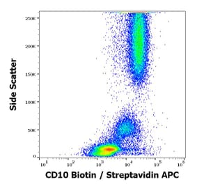 Flow Cytometry - Anti-CD10 Antibody [MEM-78] (Biotin) (A86628)