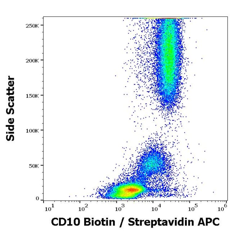 Flow Cytometry - Anti-CD10 Antibody [MEM-78] (Biotin) (A86628)