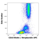 Flow Cytometry - Anti-CD10 Antibody [MEM-78] (Biotin) (A86628)