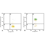 Flow Cytometry - Anti-Human IgE Antibody [BE5] (FITC) (A86632)