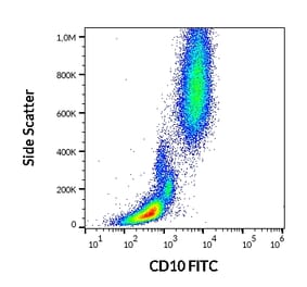 Flow Cytometry - Anti-CD10 Antibody [LT10] (FITC) (A86633)