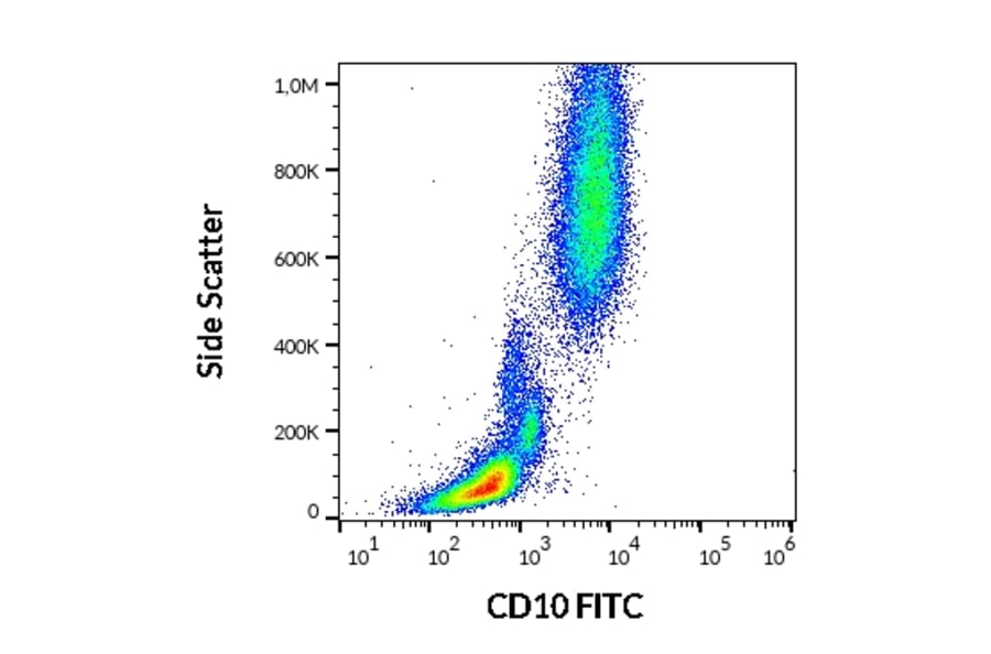 Flow Cytometry - Anti-CD10 Antibody [LT10] (FITC) (A86633)