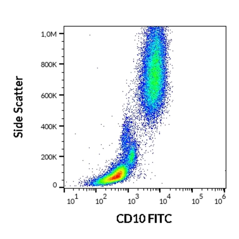 Flow Cytometry - Anti-CD10 Antibody [LT10] (FITC) (A86633)
