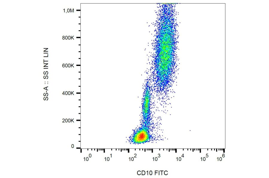Flow Cytometry - Anti-CD10 Antibody [LT10] (FITC) (A86632) - Antibodies.com