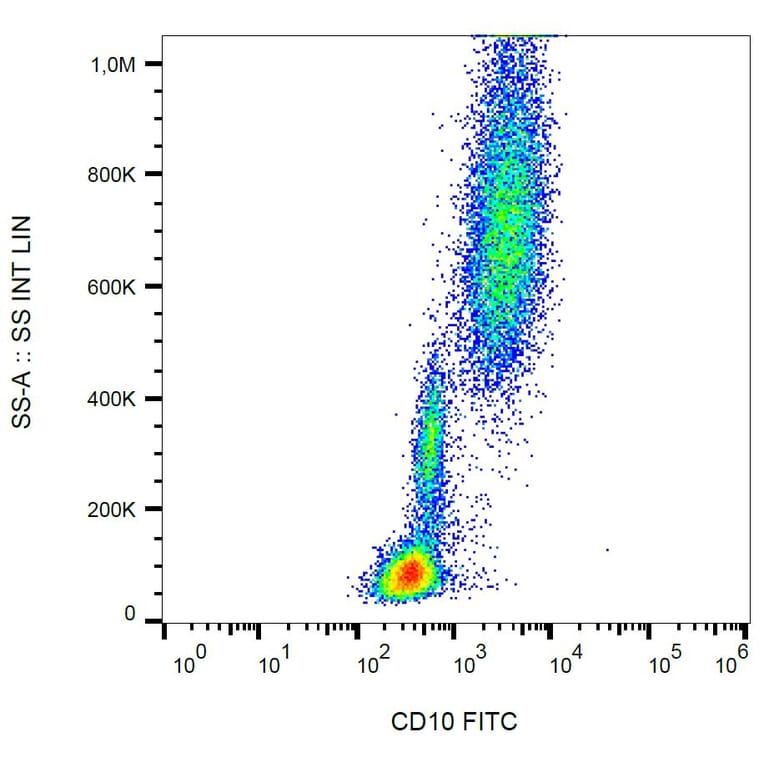 Flow Cytometry - Anti-CD10 Antibody [LT10] (FITC) (A86632) - Antibodies.com