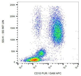 Flow Cytometry - Anti-CD10 Antibody [LT10] (A86636) - Antibodies.com