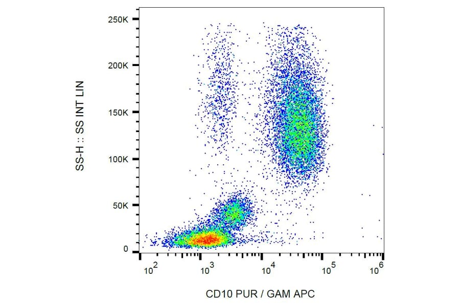 Flow Cytometry - Anti-CD10 Antibody [LT10] (A86636) - Antibodies.com