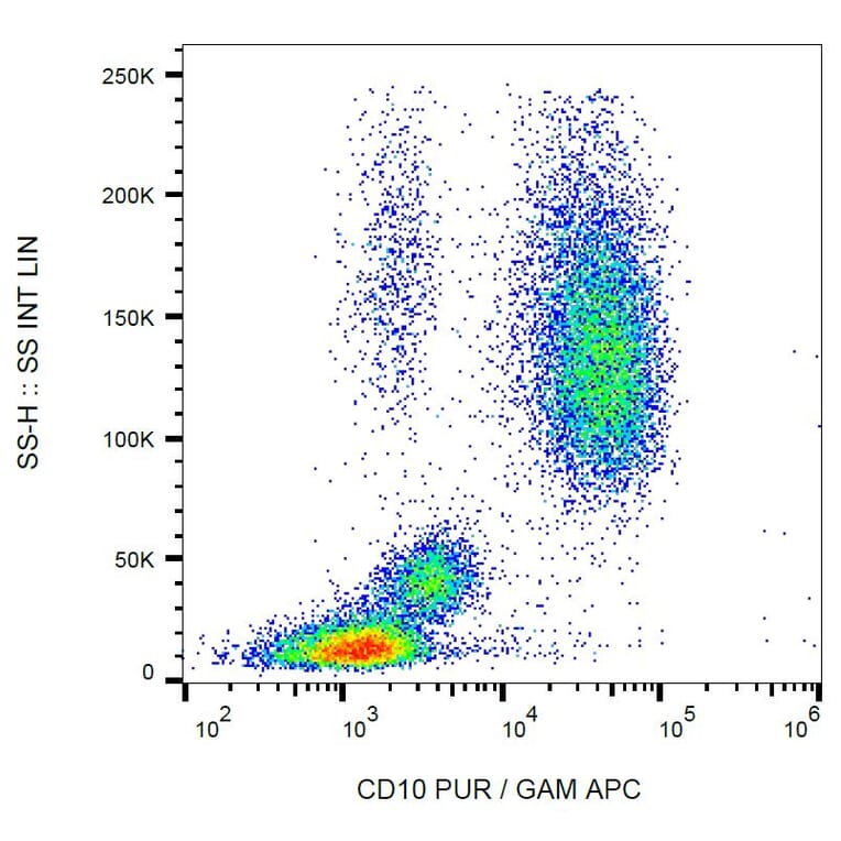 Flow Cytometry - Anti-CD10 Antibody [LT10] (A86636) - Antibodies.com