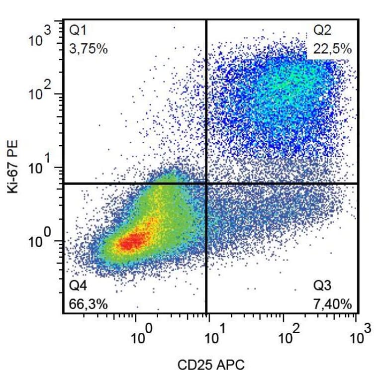 Flow Cytometry - Anti-Ki67 Antibody [Ki-67] (PE) (A86642)