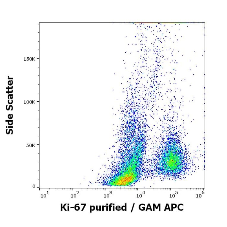 Flow Cytometry - Anti-Ki67 Antibody [Ki-67] (A86644)