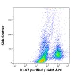 Flow Cytometry - Anti-Ki67 Antibody [Ki-67] (A86644)