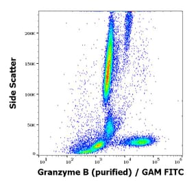 Flow Cytometry - Anti-Granzyme B Antibody [CLB-GB11] (A86653)