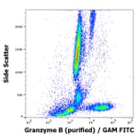 Flow Cytometry - Anti-Granzyme B Antibody [CLB-GB11] (A86653)