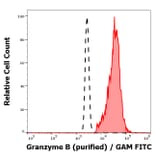 Flow Cytometry - Anti-Granzyme B Antibody [CLB-GB11] (A86653)