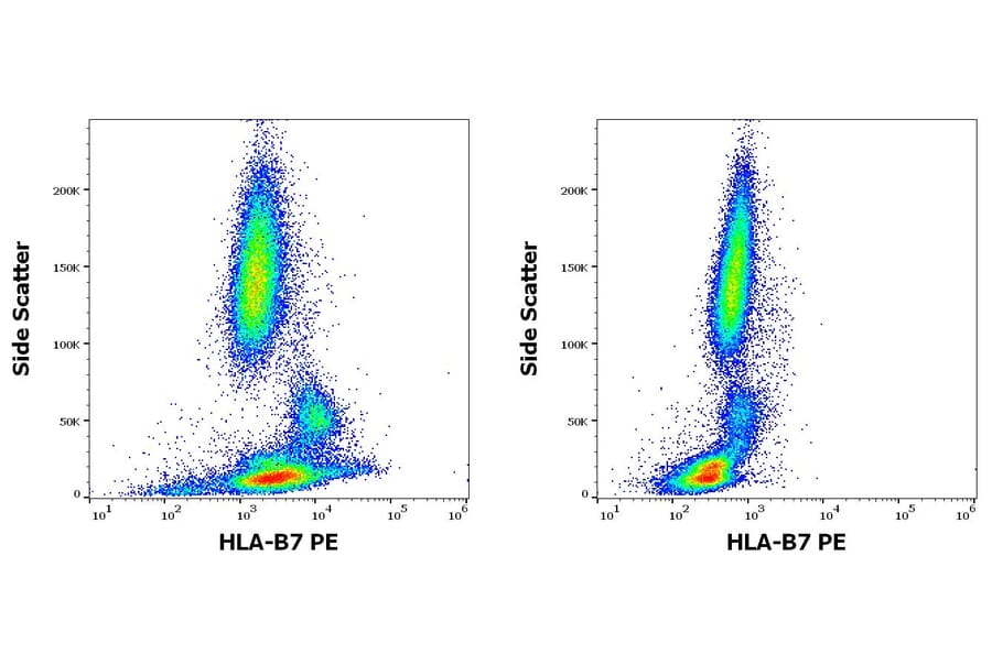 Flow Cytometry - Anti-HLA B7 Antibody [BB7.1] (PE) (A86655)