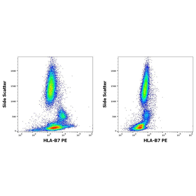 Flow Cytometry - Anti-HLA B7 Antibody [BB7.1] (PE) (A86655)