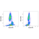 Flow Cytometry - Anti-HLA B7 Antibody [BB7.1] (PE) (A86655)