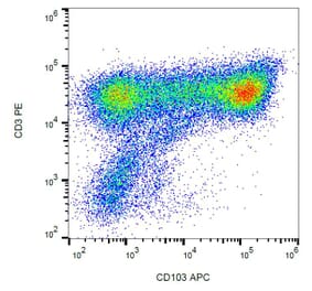 Flow Cytometry - Anti-HLA B7 Antibody [BB7.1] (PE) (A86652) - Antibodies.com