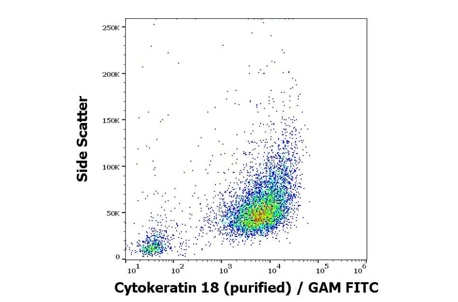 Flow Cytometry - Anti-Cytokeratin 18 Antibody [C-04] (A86656)