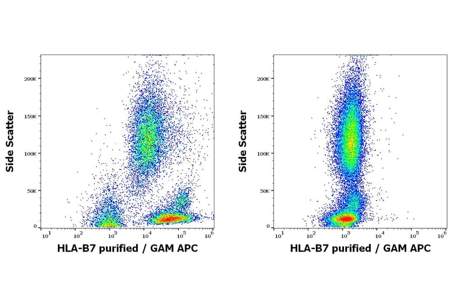 Flow Cytometry - Anti-HLA B7 Antibody [BB7.1] (A86658)