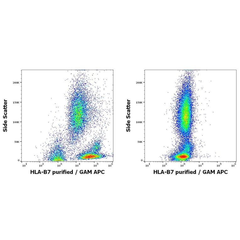 Flow Cytometry - Anti-HLA B7 Antibody [BB7.1] (A86658)