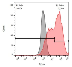Flow Cytometry - Anti-DcR1 Antibody [TRAIL-R3-02] (PE) (A86664)